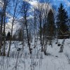 Dom i okolice